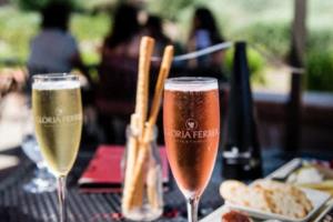 When Does the World Cup Start?世界杯什么时候开始英语翻译