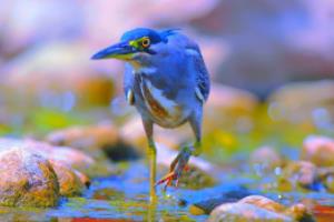 世界杯正赛，足球界的奥运会，人类对足球的终极狂欢世界杯正赛