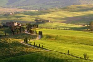 2022年卡塔尔世界杯什么时候开始举行？世界杯什么时候开始举行